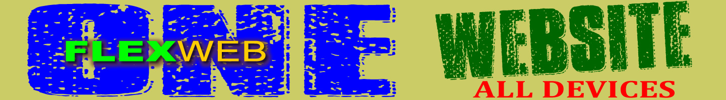 Net Video Tours Services